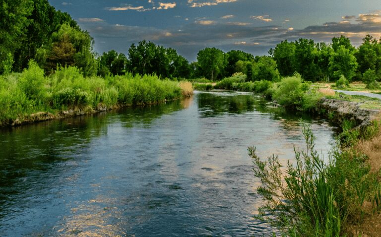 Read more about the article Water – River Systems